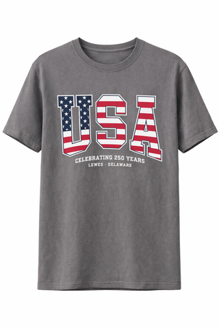 250 Anniversary USA Lewes Delaware T-shirt