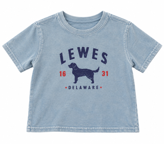 Lewes Pup Youth Tee in Washed Blue Jean with a distressed navy Lewes over a dog silhouette, 16 and 31 in red, and Delaware below
