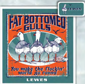 Fat Bottomed Gulls Lewes T-shirt