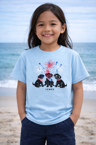 Fireworks Pups Lewes Delaware Youth Tee