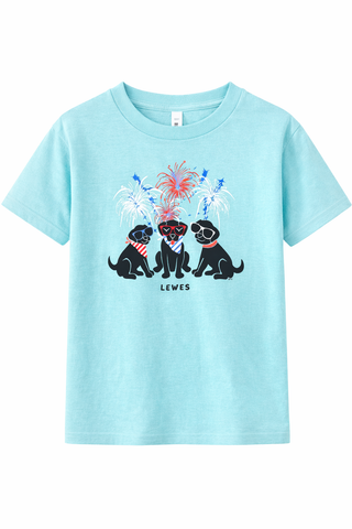 Fireworks Pups Lewes Delaware Youth Tee mint