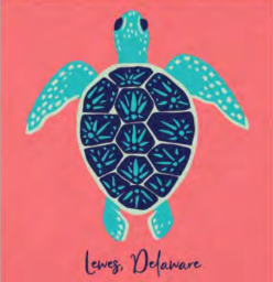 Folk Art Sea Turtle Lewes Youth Tee