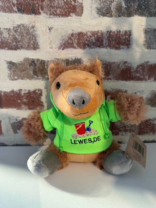Plush Capybara with Lewes Hoodie