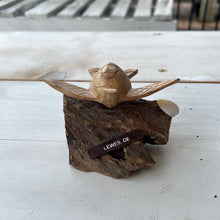 Load image into Gallery viewer, SMALL TURTLE STATUE - LEWES

